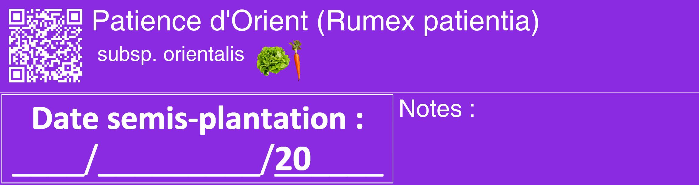 Étiquette de : Rumex patientia subsp. orientalis - format c - style blanche49_basique_basiquehel avec qrcode et comestibilité simplifiée