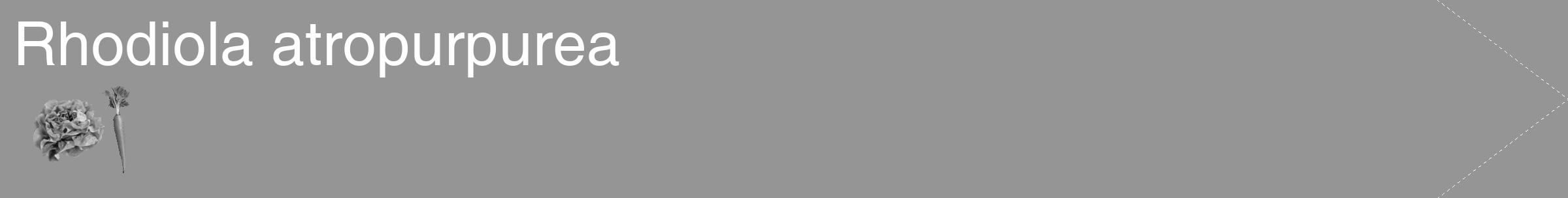 Étiquette de : Rhodiola atropurpurea - format c - style blanche16_simple_simplehel avec comestibilité simplifiée