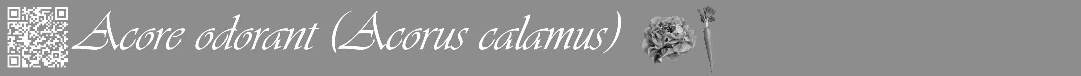 Étiquette de : Acorus calamus - format a - style blanche2viv avec qrcode et comestibilité simplifiée