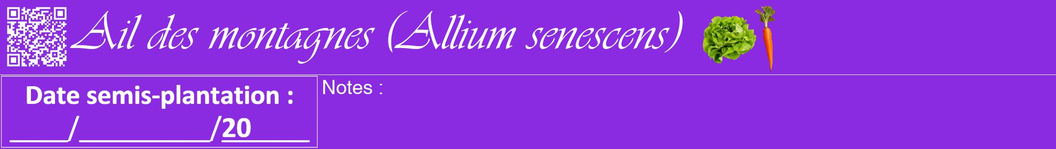 Étiquette de : Allium senescens - format a - style blanche49viv avec qrcode et comestibilité simplifiée