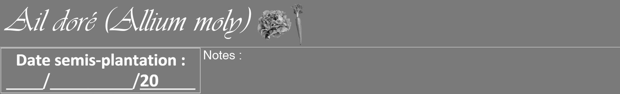 Étiquette de : Allium moly - format a - style blanche3viv avec comestibilité simplifiée