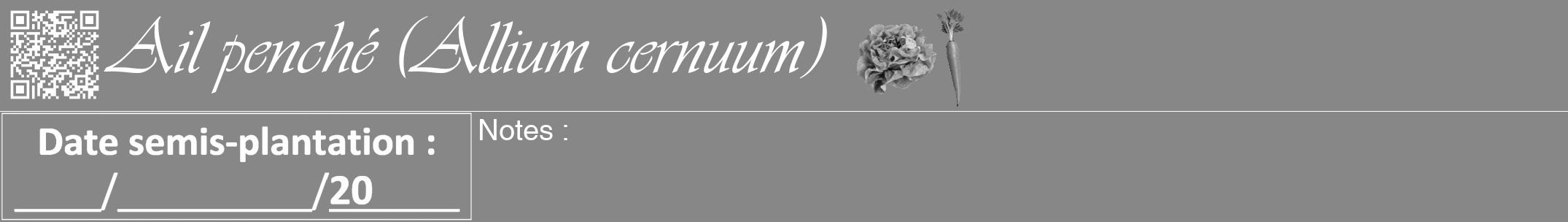 Étiquette de : Allium cernuum - format a - style blanche12viv avec qrcode et comestibilité simplifiée