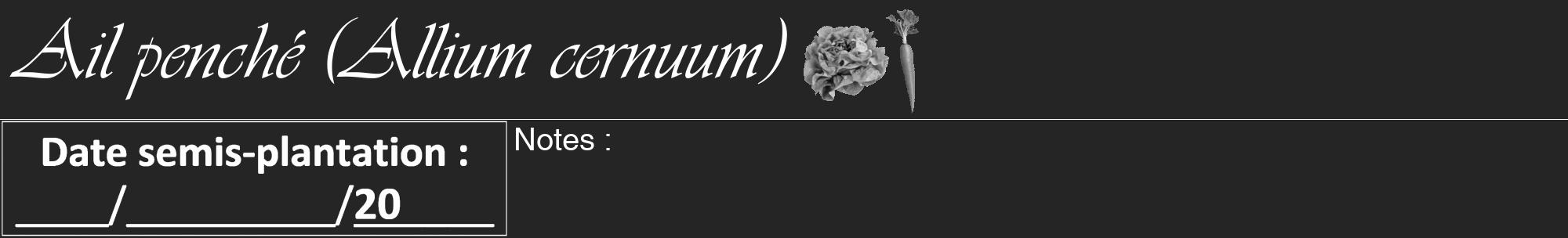 Étiquette de : Allium cernuum - format a - style blanche47basiqueviv avec comestibilité simplifiée