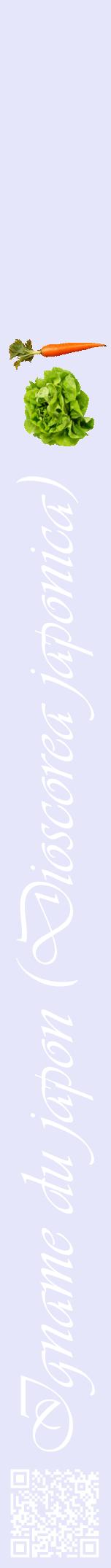 Étiquette de : Dioscorea japonica - format a - style blanche55viv avec qrcode et comestibilité simplifiée