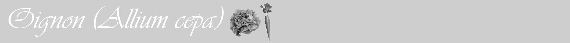 Étiquette de : Allium cepa - format a - style blanche17viv avec comestibilité simplifiée