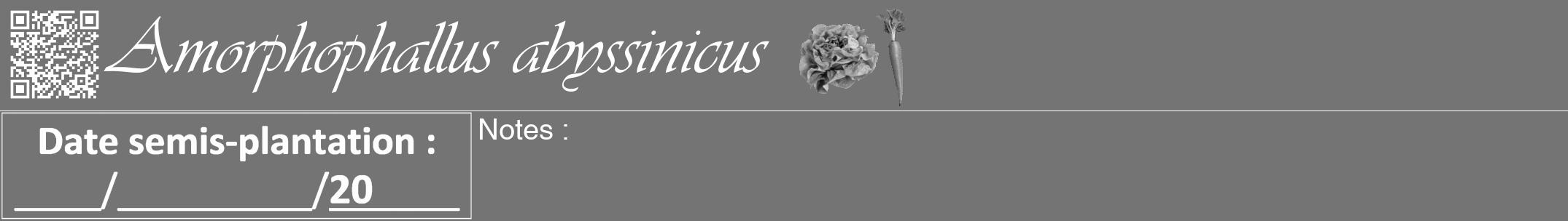 Étiquette de : Amorphophallus abyssinicus - format a - style blanche26viv avec qrcode et comestibilité simplifiée