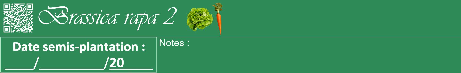 Étiquette de : Brassica rapa 2 - format a - style blanche11basiqueviv avec qrcode et comestibilité simplifiée