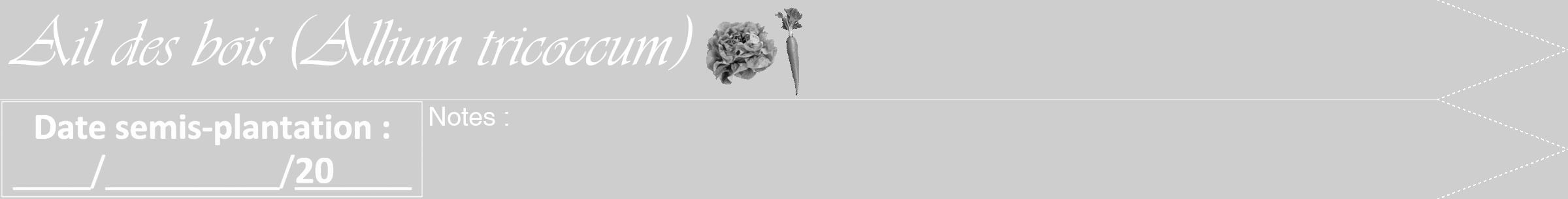 Étiquette de : Allium tricoccum - format b - style blanche17simpleviv avec comestibilité simplifiée