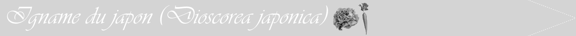 Étiquette de : Dioscorea japonica - format b - style blanche40viv avec comestibilité simplifiée