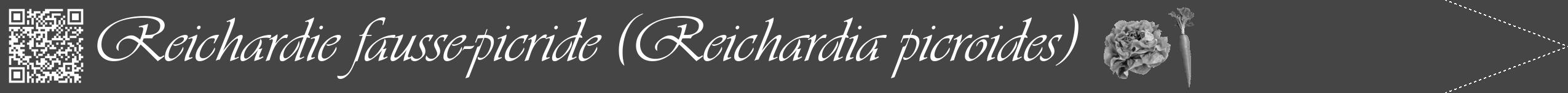 Étiquette de : Reichardia picroides - format b - style blanche58viv avec qrcode et comestibilité simplifiée