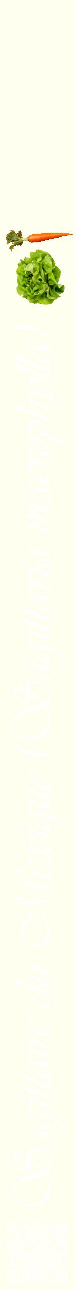 Étiquette de : Sagittaria macrophylla - format b - style blanche19viv avec qrcode et comestibilité simplifiée
