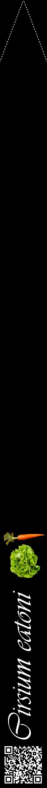 Étiquette de : Cirsium eatoni - format b - style blanche59viv avec qrcode et comestibilité simplifiée