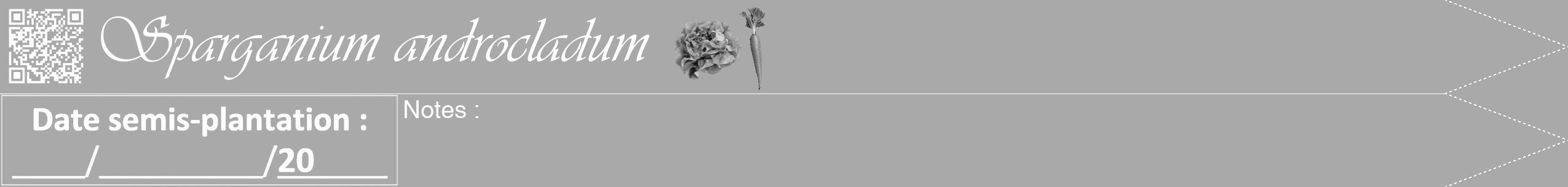 Étiquette de : Sparganium androcladum - format b - style blanche13viv avec qrcode et comestibilité simplifiée
