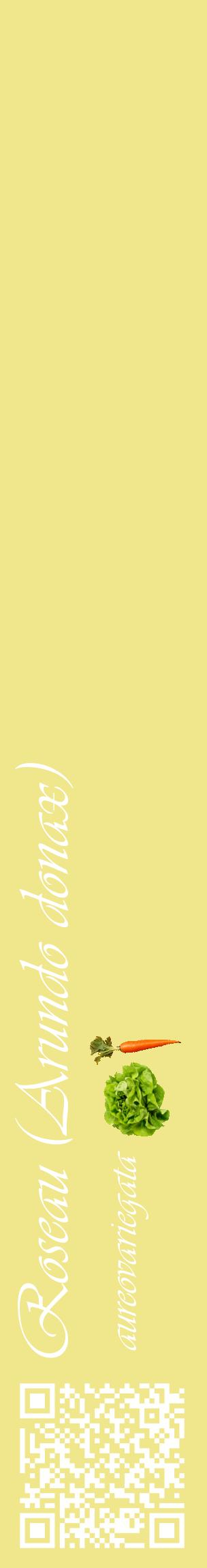 Étiquette de : Arundo donax aureovariegata - format c - style blanche20_basiqueviv avec qrcode et comestibilité simplifiée