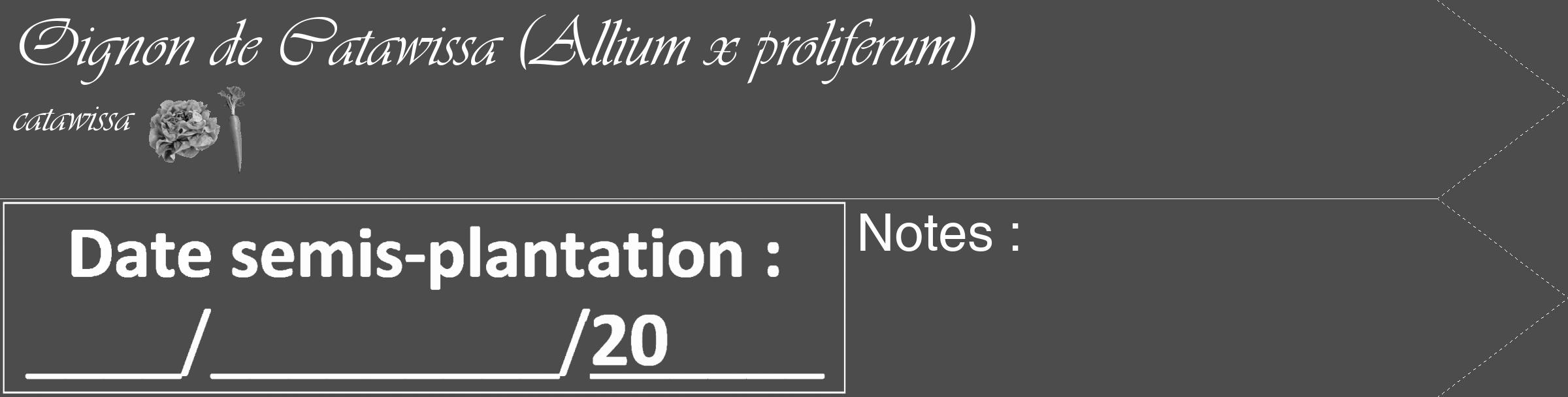 Étiquette de : Allium x proliferum catawissa - format c - style blanche27_simple_simpleviv avec comestibilité simplifiée