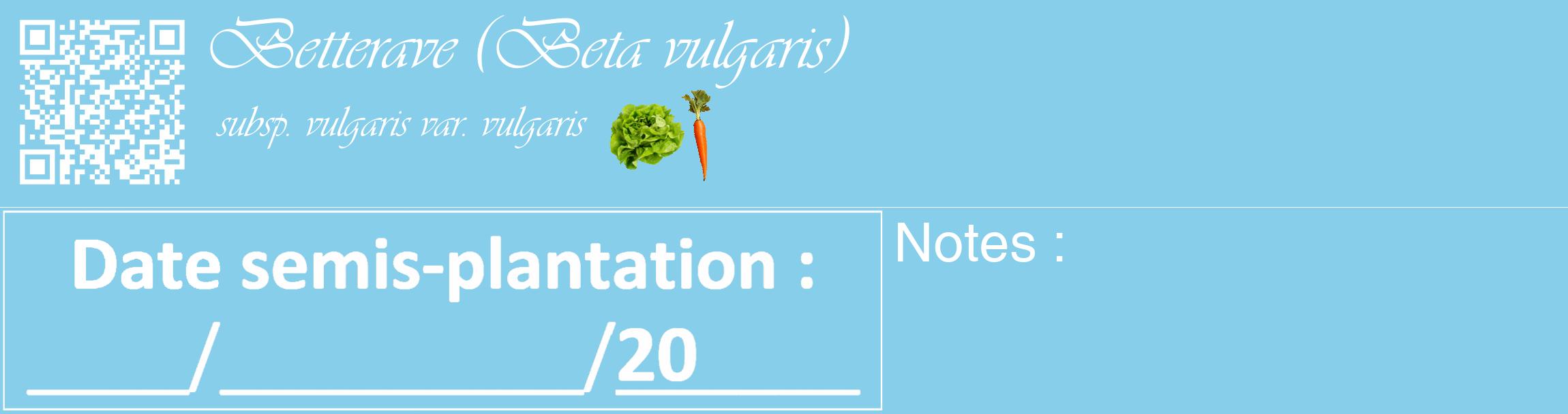Étiquette de : Beta vulgaris subsp. vulgaris var. vulgaris - format c - style blanche1_basique_basiqueviv avec qrcode et comestibilité simplifiée