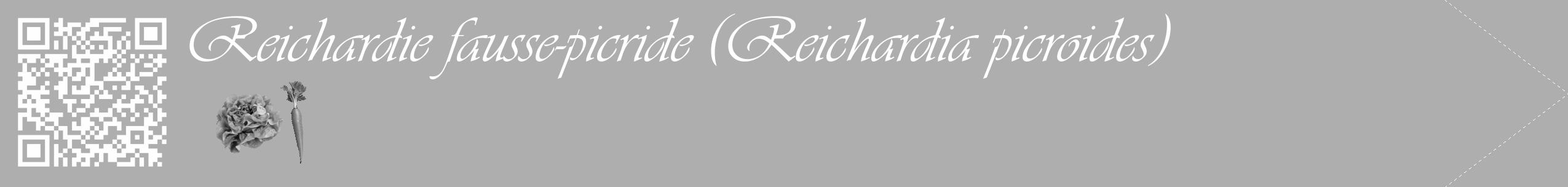 Étiquette de : Reichardia picroides - format c - style blanche53simple_simple_simpleviv avec qrcode et comestibilité simplifiée