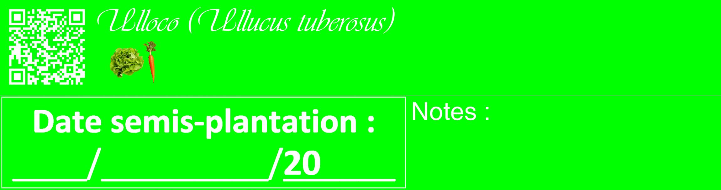 Étiquette de : Ullucus tuberosus - format c - style blanche16_basique_basiqueviv avec qrcode et comestibilité simplifiée