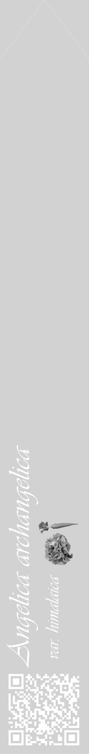 Étiquette de : Angelica archangelica var. himalaica - format c - style blanche14_simple_simpleviv avec qrcode et comestibilité simplifiée - position verticale