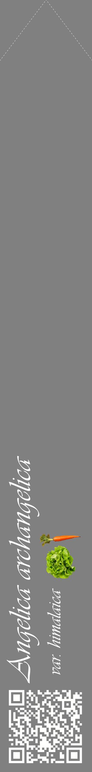 Étiquette de : Angelica archangelica var. himalaica - format c - style blanche57_simpleviv avec qrcode et comestibilité simplifiée