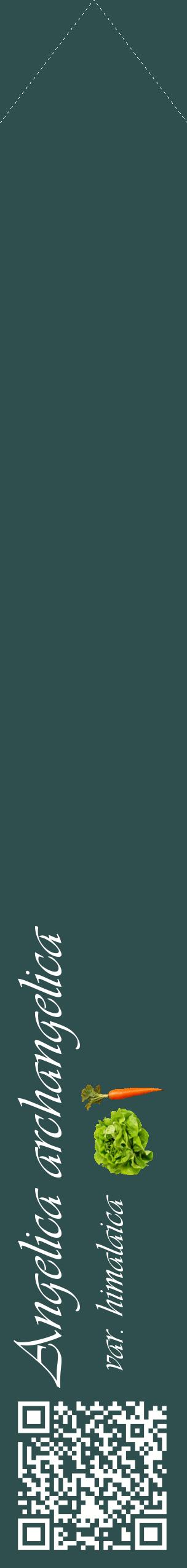 Étiquette de : Angelica archangelica var. himalaica - format c - style blanche58_simpleviv avec qrcode et comestibilité simplifiée