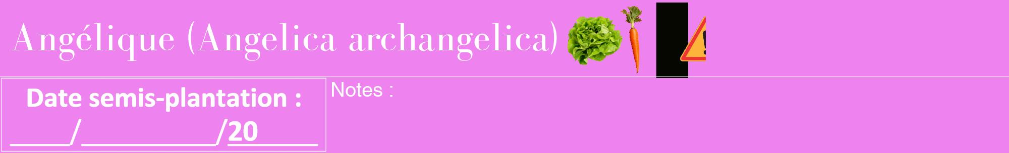 Étiquette de : Angelica archangelica - format a - style blanche53bod avec comestibilité simplifiée