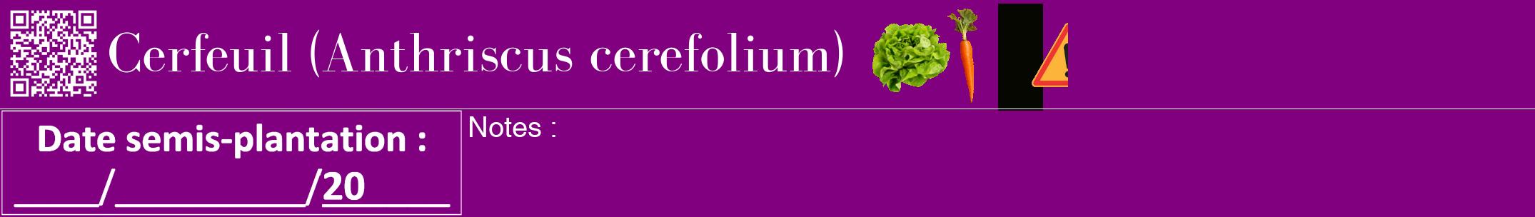 Étiquette de : Anthriscus cerefolium - format a - style blanche46bod avec qrcode et comestibilité simplifiée