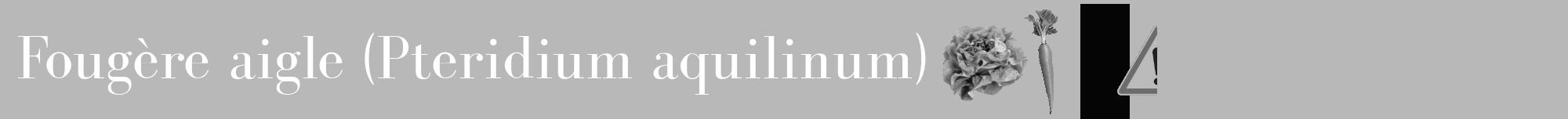 Étiquette de : Pteridium aquilinum - format a - style blanche39bod avec comestibilité simplifiée