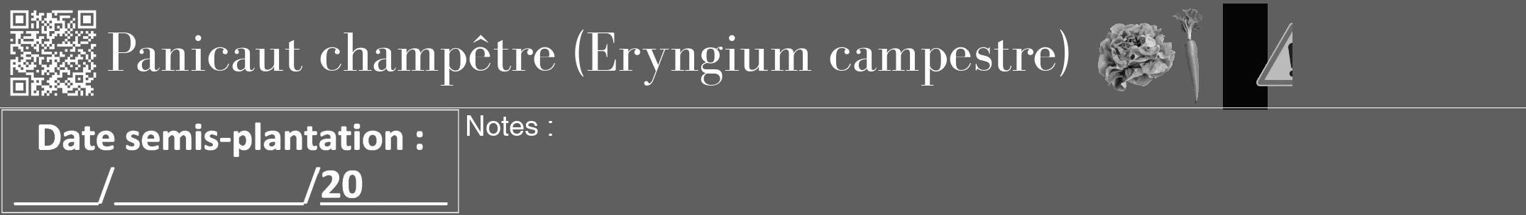 Étiquette de : Eryngium campestre - format a - style blanche10bod avec qrcode et comestibilité simplifiée