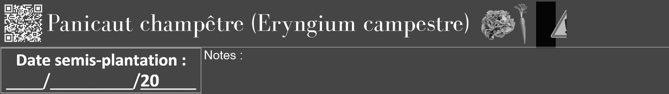 Étiquette de : Eryngium campestre - format a - style blanche58bod avec qrcode et comestibilité simplifiée