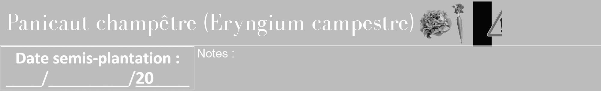 Étiquette de : Eryngium campestre - format a - style blanche1bod avec comestibilité simplifiée