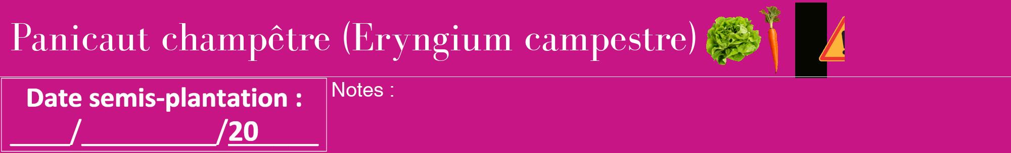 Étiquette de : Eryngium campestre - format a - style blanche45bod avec comestibilité simplifiée
