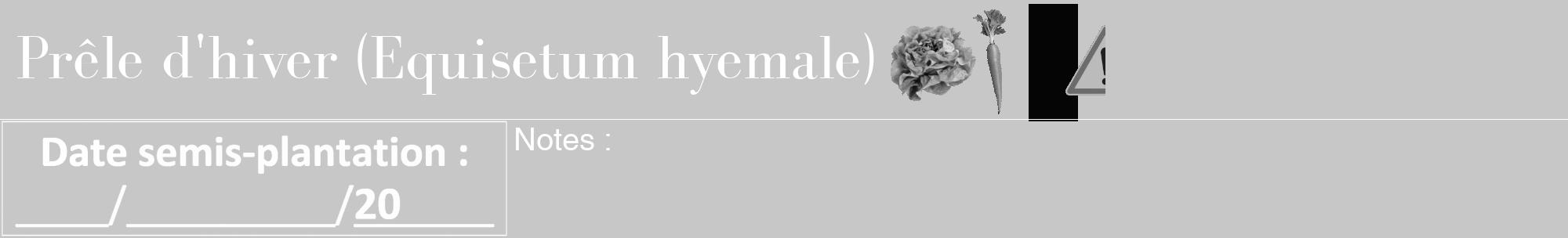 Étiquette de : Equisetum hyemale - format a - style blanche15bod avec comestibilité simplifiée