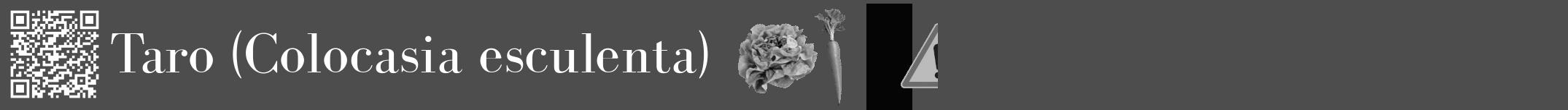 Étiquette de : Colocasia esculenta - format a - style blanche28bod avec qrcode et comestibilité simplifiée