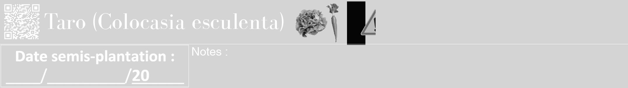 Étiquette de : Colocasia esculenta - format a - style blanche40bod avec qrcode et comestibilité simplifiée