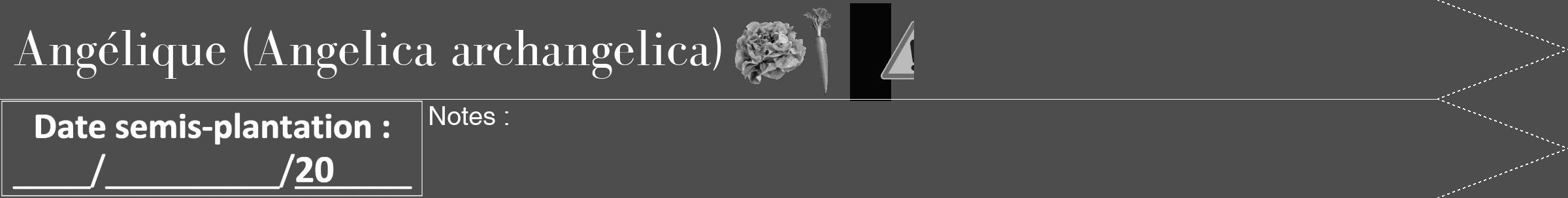 Étiquette de : Angelica archangelica - format b - style blanche28bod avec comestibilité simplifiée