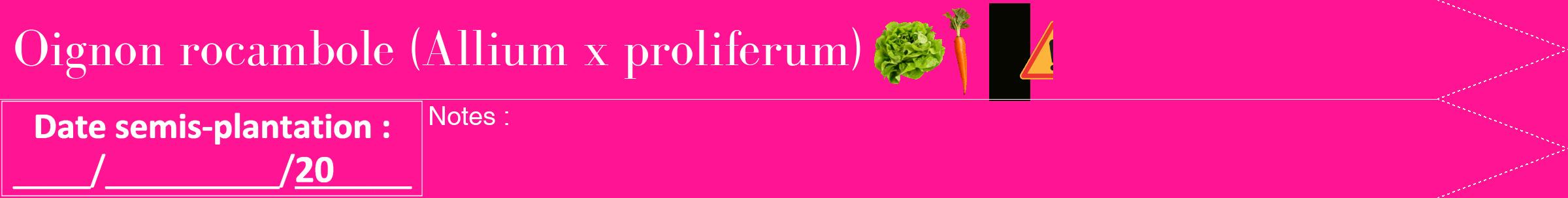 Étiquette de : Allium x proliferum - format b - style blanche43bod avec comestibilité simplifiée