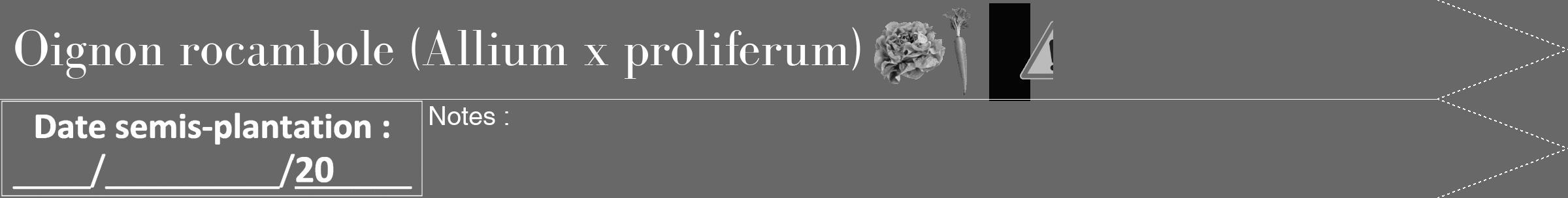 Étiquette de : Allium x proliferum - format b - style blanche43bod avec comestibilité simplifiée