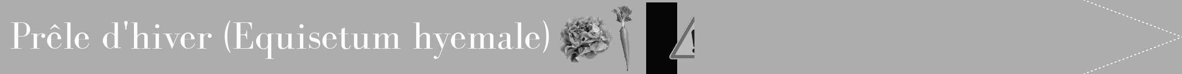 Étiquette de : Equisetum hyemale - format b - style blanche22bod avec comestibilité simplifiée