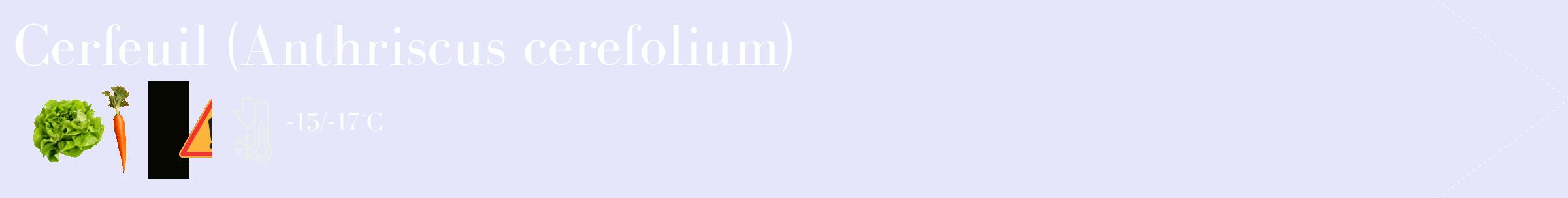 Étiquette de : Anthriscus cerefolium - format c - style blanche55_simple_simplebod avec comestibilité simplifiée