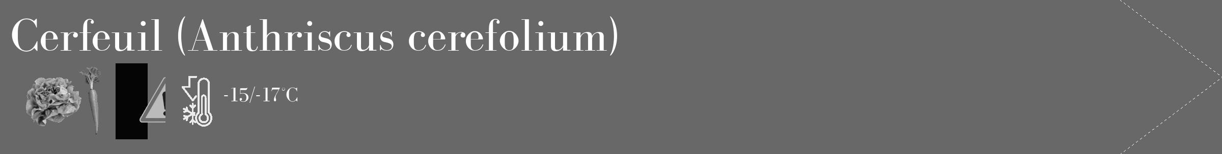 Étiquette de : Anthriscus cerefolium - format c - style blanche6_simple_simplebod avec comestibilité simplifiée