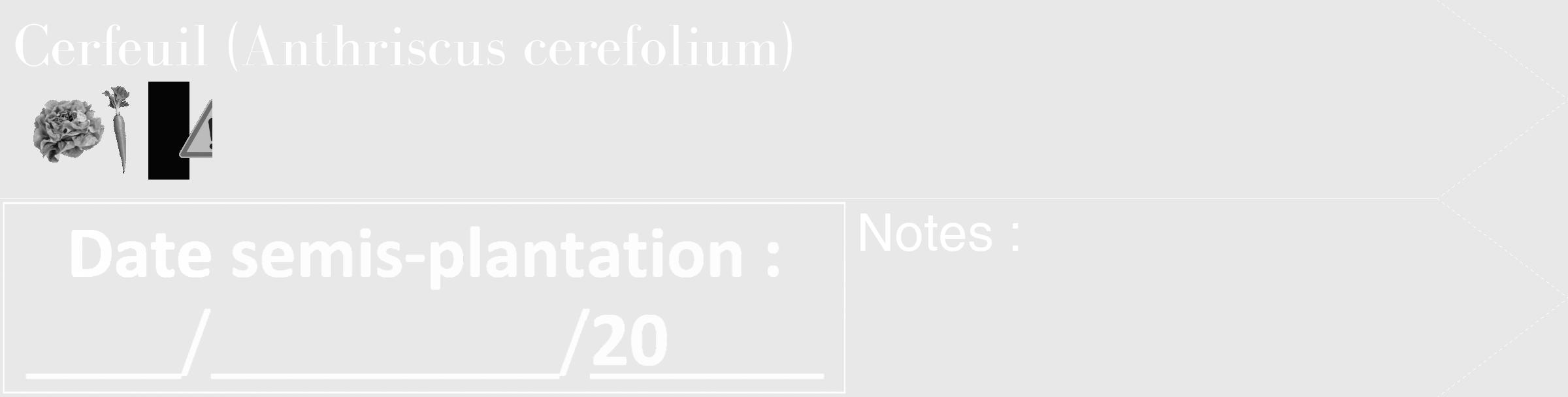 Étiquette de : Anthriscus cerefolium - format c - style blanche55_simple_simplebod avec comestibilité simplifiée