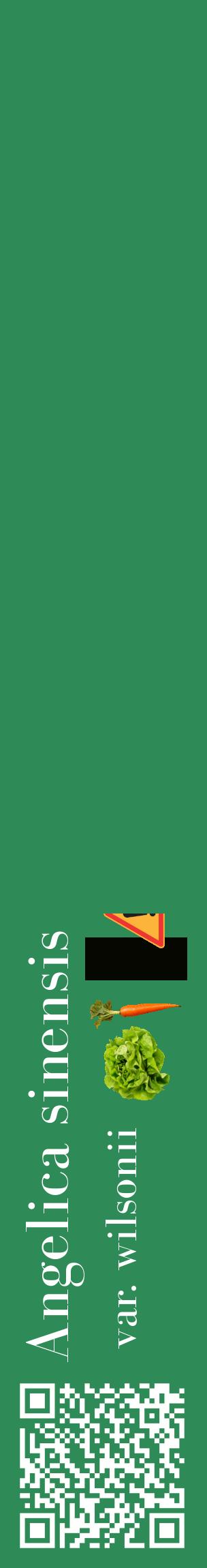 Étiquette de : Angelica sinensis var. wilsonii - format c - style blanche11_basiquebod avec qrcode et comestibilité simplifiée
