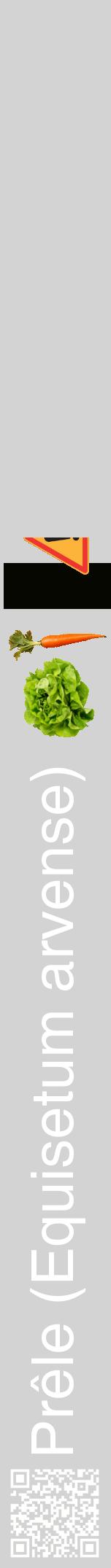 Étiquette de : Equisetum arvense - format a - style blanche56hel avec qrcode et comestibilité simplifiée