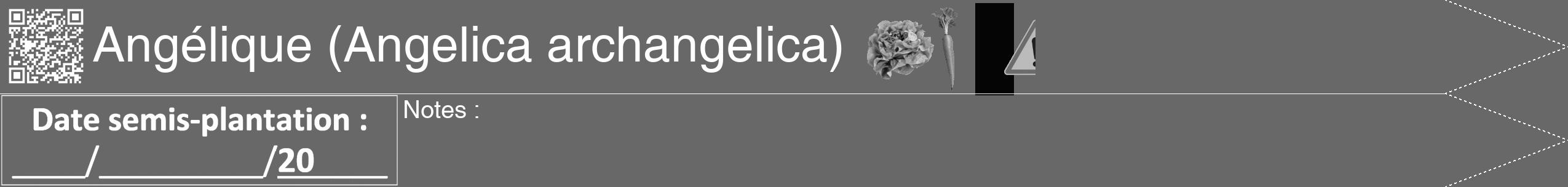 Étiquette de : Angelica archangelica - format b - style blanche43hel avec qrcode et comestibilité simplifiée