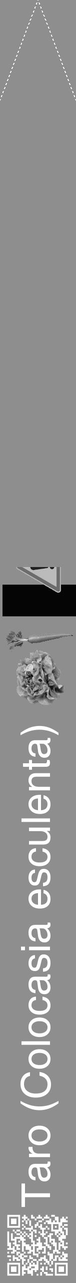 Étiquette de : Colocasia esculenta - format b - style blanche25hel avec qrcode et comestibilité simplifiée - position verticale