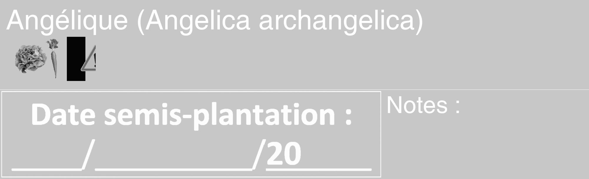 Étiquette de : Angelica archangelica - format c - style blanche15_basique_basiquehel avec comestibilité simplifiée