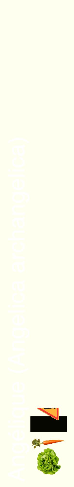 Étiquette de : Angelica archangelica - format c - style blanche19_basiquehel avec comestibilité simplifiée