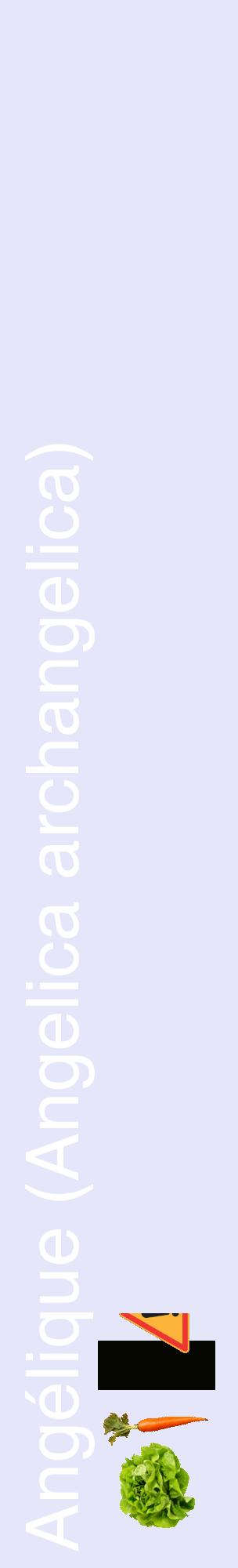 Étiquette de : Angelica archangelica - format c - style blanche55_basiquehel avec comestibilité simplifiée