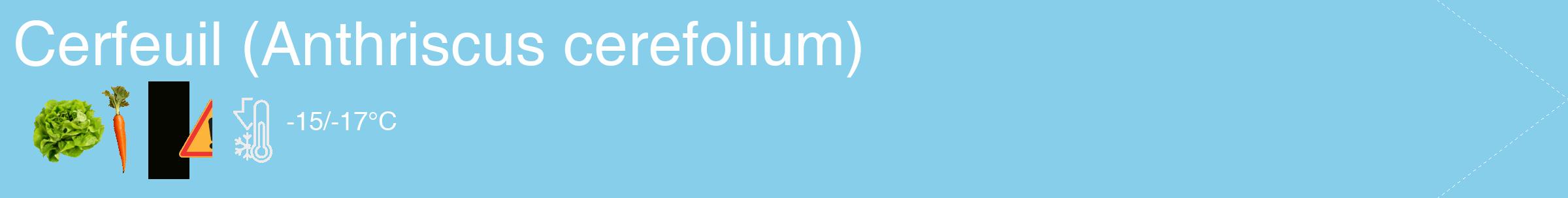Étiquette de : Anthriscus cerefolium - format c - style blanche1_simple_simplehel avec comestibilité simplifiée